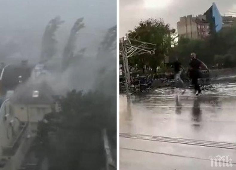 След бурята в столицата: Десетки сигнали за паднали клони и разрушени покриви