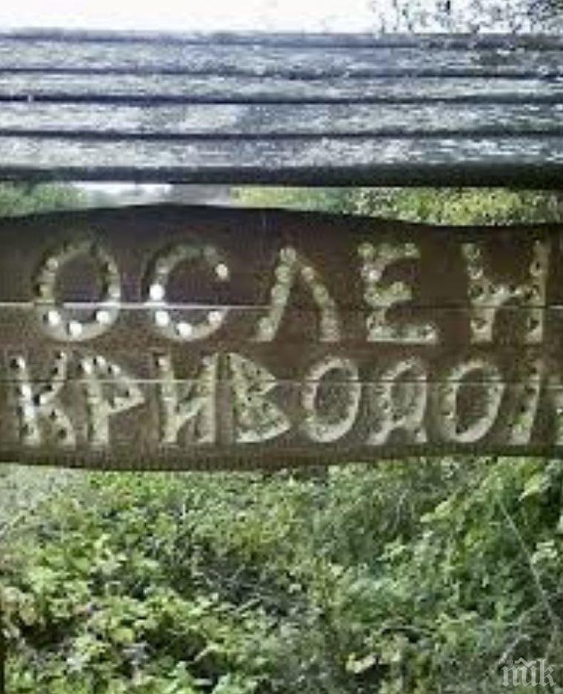 Ремонтират кметството в село в Мездренско