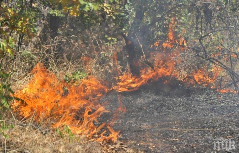 Потушиха пожара, който горя в Хасковско