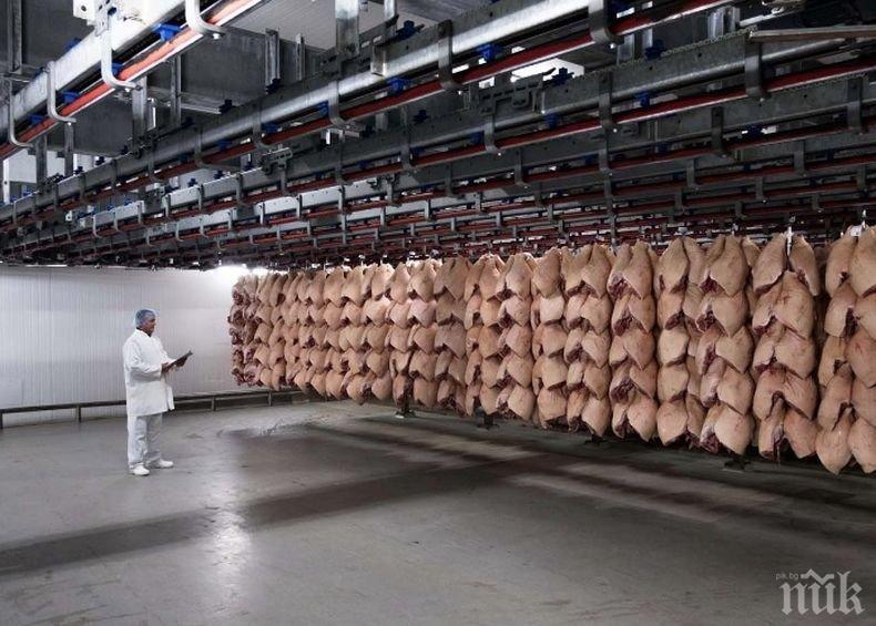 Затвориха една от най-големите кланици в Дания заради коронавирус