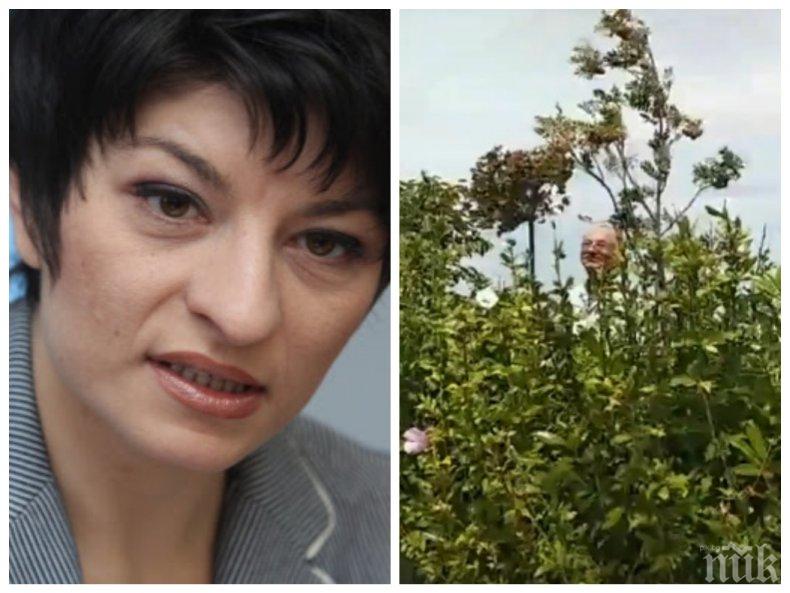 СБЛЪСЪК НА ЦЕННОСТИ: Десислава Атанасова изригна срещу ближещите сладоледа на Доган на Росенец