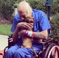 Чихуахуа спаси стопанина си след инсулт