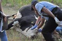 Разрешиха пиенето на вода в 20 села от поречието на Марица