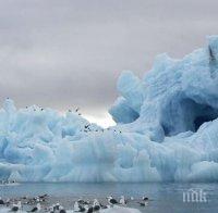 Арктика може да остане без лед до 2035 г.