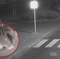 „Каратистът“, вандалствал на пешеходна пътека в Бургас, се оказа софийски отличник