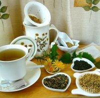 Неверни митове за зеления чай