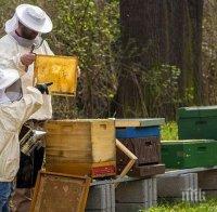 От днес животновъди и пчелари могат да кандидатстват за финансово подпомагане
