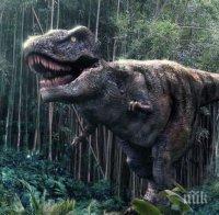 НАХОДКА: Откриха фосили от непознат динозавър, сродник на тиранозавър рекс