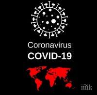 Заразените с коронавирус в света вече са над 20 млн.