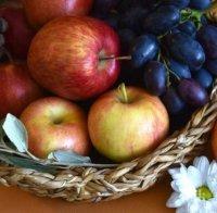 НЕВЕРОЯТНО, НО ФАКТ: Плодовете могат да увредят черния дроб