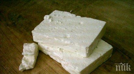 шефът млекопреработвателите съветва купувайте сирене килограм истинско