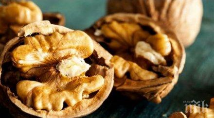 орехите полезни сърцето отколкото мозъка
