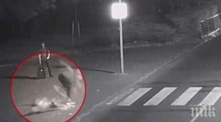 каратистът вандалствал пешеходна пътека бургас оказа софийски отличник