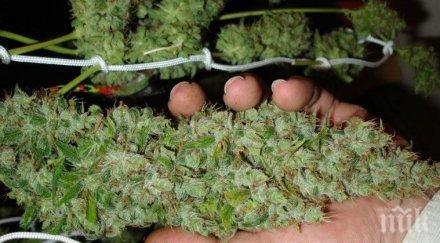 апелативният съд потвърди ареста двама обвиняеми производство наркотици