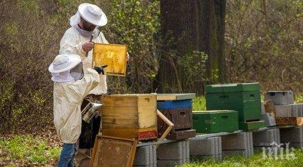 животновъди пчелари кандидатстват финансово подпомагане