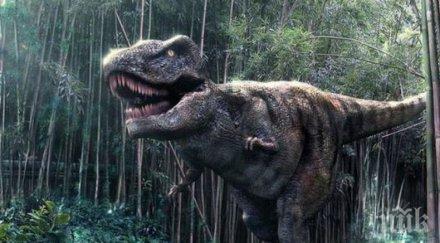 находка откриха фосили непознат динозавър сродник тиранозавър рекс