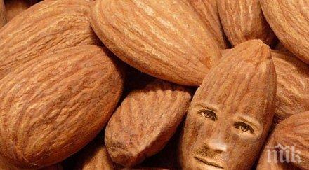 супер храни пълни калций