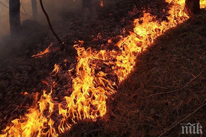 Задържан е мъж, причинил пожара в Свиленград