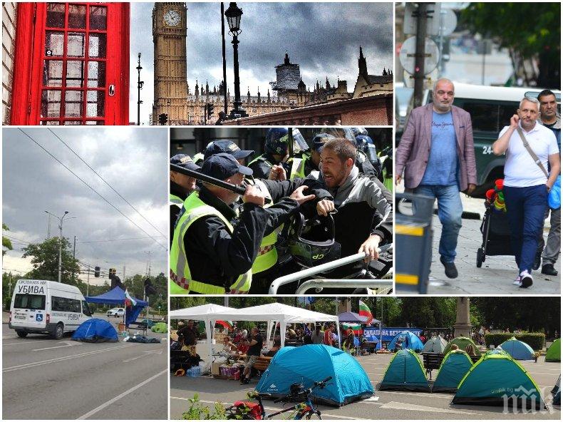 Наш мигрант: Щяха ли да си разиграват коня палаткаджиите, ако бяха в Лондон?! Полицията е в правото си да упражни сила