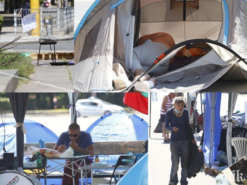 ХАОС В СОФИЯ: Четирима лумпена и една палатка на Ректората блокират градския транспорт с незаконна барикада