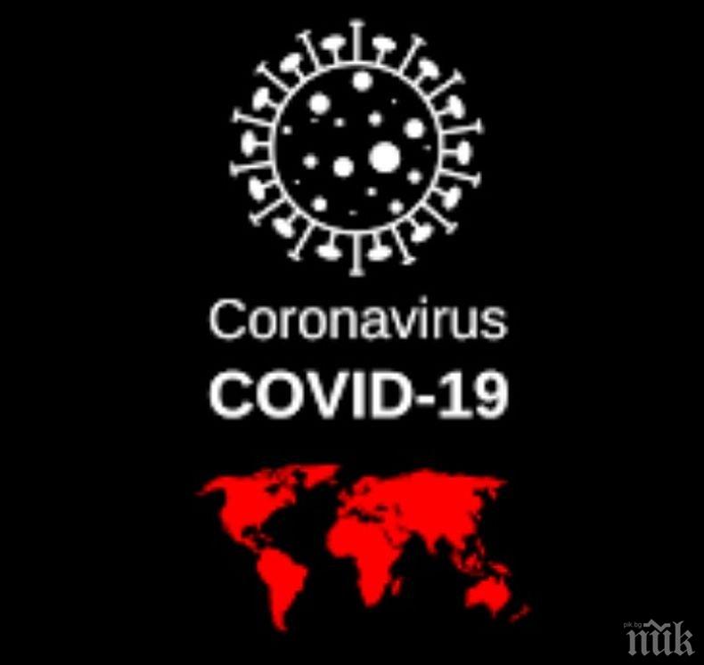 Над 214 000 новозаразени с коронавируса по света за денонощие
