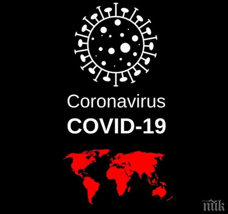 Заразените с коронавирус в света вече са над 20 млн.