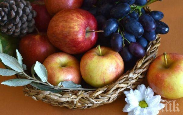 НЕВЕРОЯТНО, НО ФАКТ: Плодовете могат да увредят черния дроб