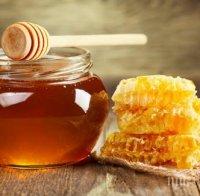 Рекордно ниски добиви от мед
