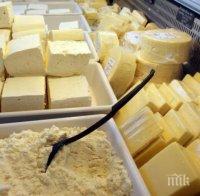 Етикет за качество слагат на сирене и кашкавал от малки ферми