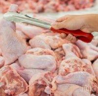 БАБХ унищожава 10 тона пилешко месо от Полша заради замърсяване със салмонела