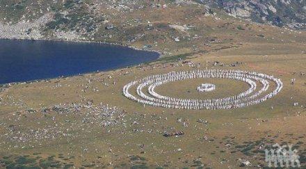 бялото братство чисти района седемте рилски езера