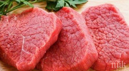 месоядните живеят дълго вегетарианците