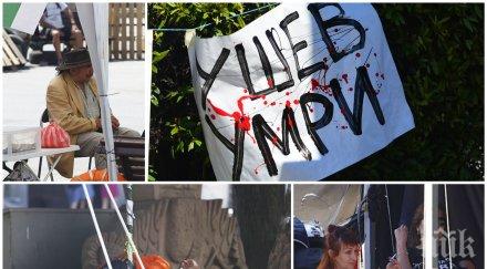 скандал незаконните палаткаджии смъртни заплахи полицията снимки