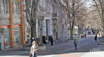 паника огромни буболечки шокират пловдивчани снимка