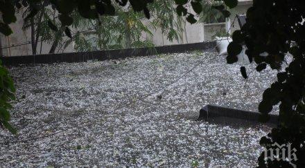 бурята събори дърво кюстендил перник побеля градушка