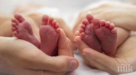 радост рекорден брой бебета велико търново юли