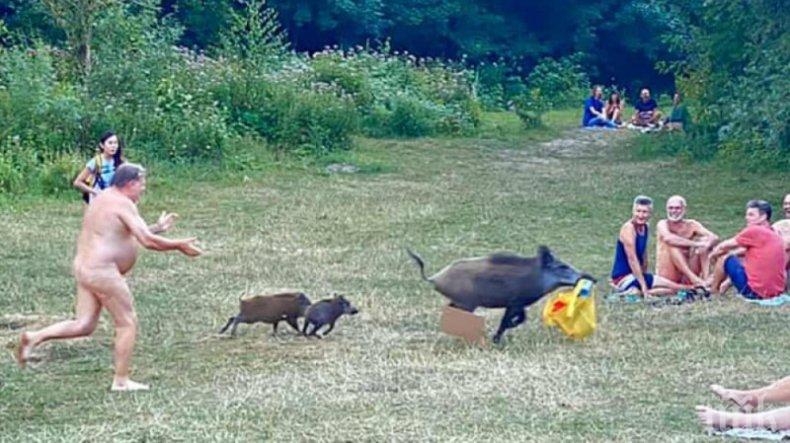 4000 германци подписаха петиция за убийството на глигана, който задигна лаптопа на нудист