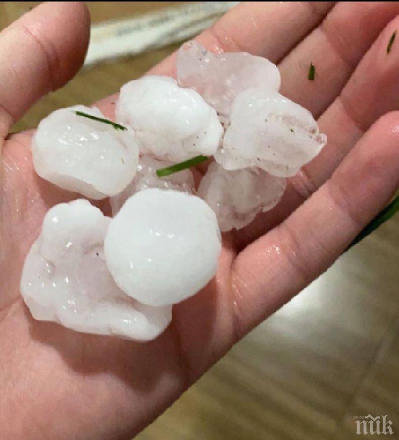 БЕДСТВИЕ: Градушка като орехи потроши коли и унищожи реколта в Пиринско