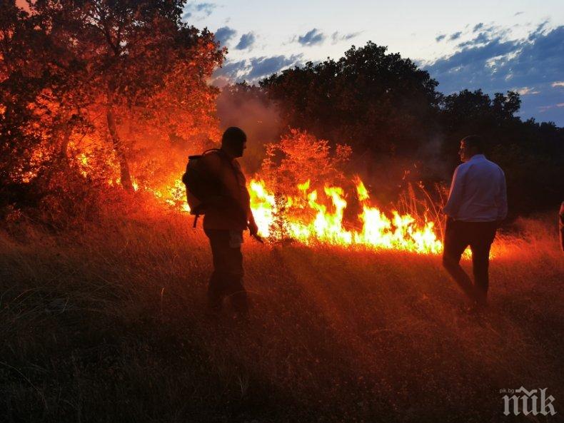 Нов пожар пламна край Хасково - горят стотици декари поле и гора