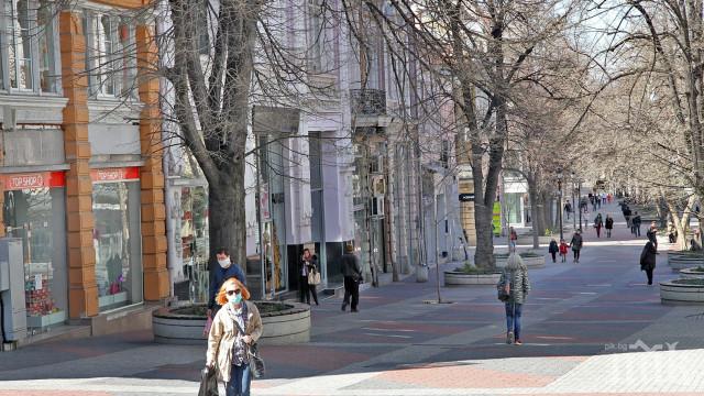 ПАНИКА: Огромни буболечки шокират пловдивчани (СНИМКА)