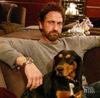 МИЛИОНИ ЖЕНИ ЛИКУВАТ: Джерард Бътлър пак е ерген