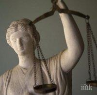 Осъдиха жена за купуване на гласове в Плевенско