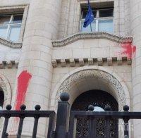 ПЪРВО В ПИК: Прокуратурата вкарва в ареста метежник, хвърлял червена боя по Съдебната палата