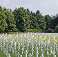 Белград с гробище за домашни любимци