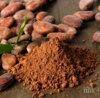 Цените на какаото скочиха рекордно