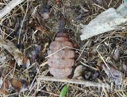 извънредно полиция отцепи жилищен блок хасково заради граната