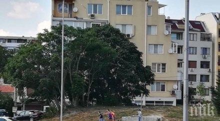 опасни игри деца мятат бомбички преминаващи коли варна