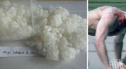 всеки четвърти варна пробвал дрога