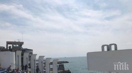 зам министър земеделието извънредни мерки осигурени винопроизводителите