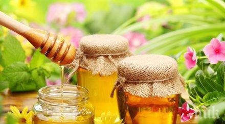 медът ефикасен антибиотиците